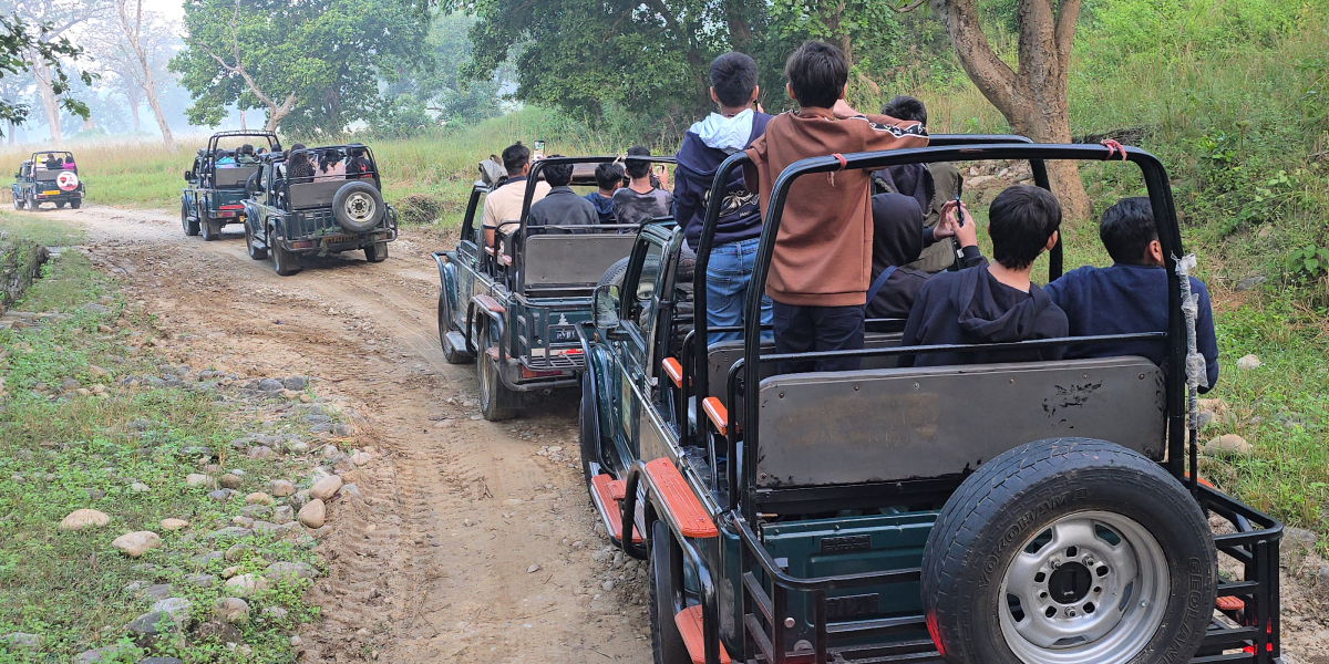 Dhela Zone In Jim Corbett National Park